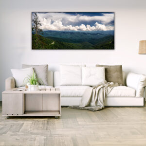 Lost in the Wilderness